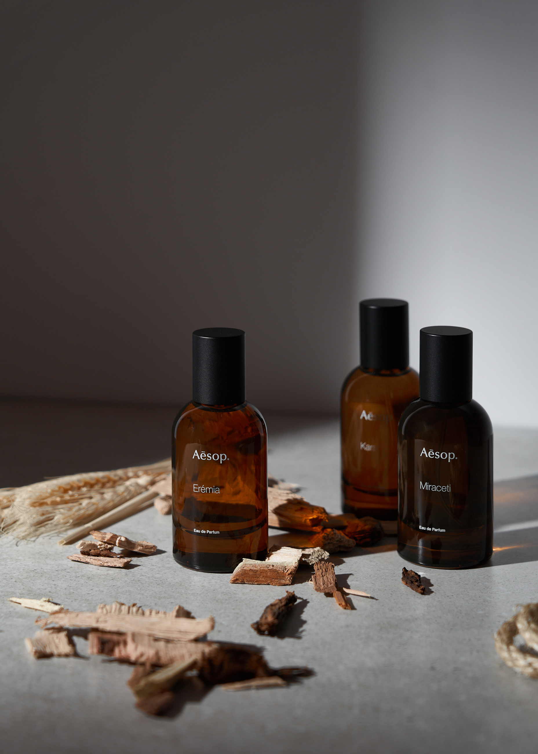 Aesop design example 2